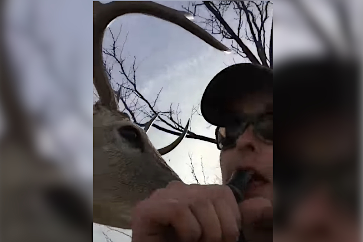 Deer Bugs Duck Hunter