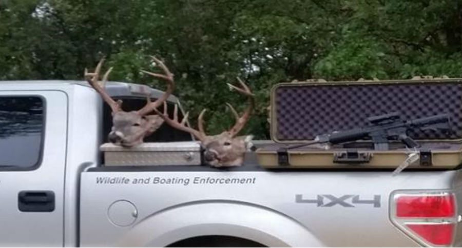 poachers
