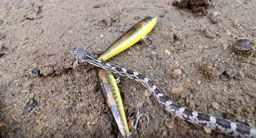 artificial bait