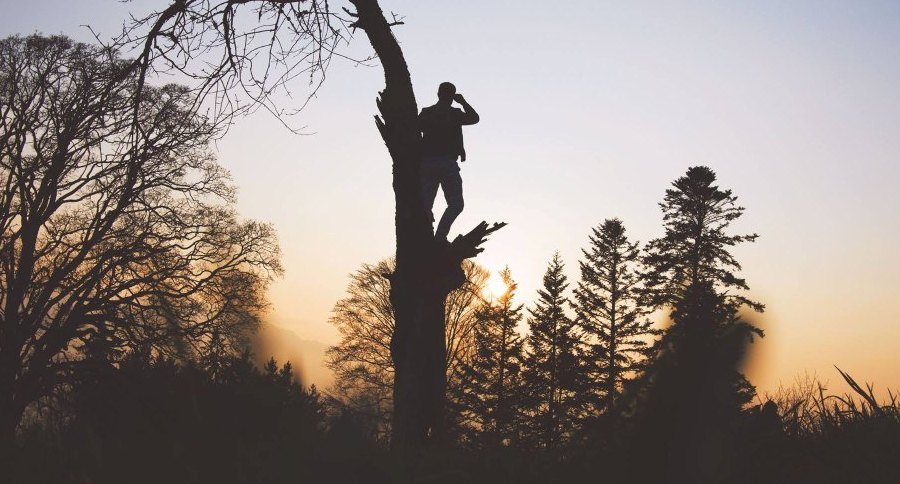 fall treestand