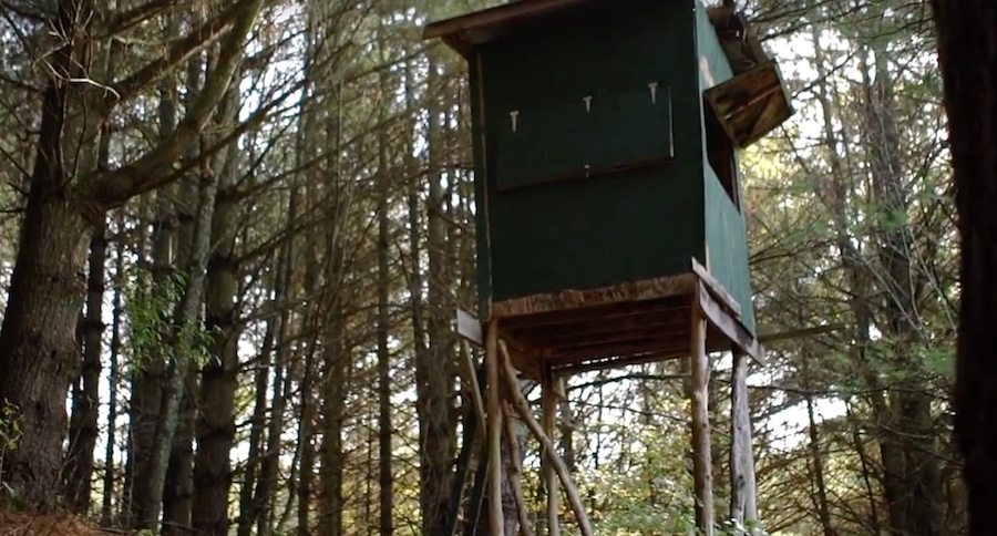 tree stand