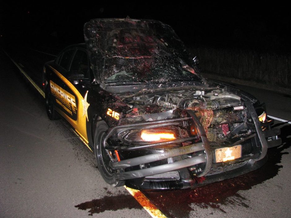 Minnesota Sheriff's Deputy Smacks Deer at 100 MPH Wide Open Spaces