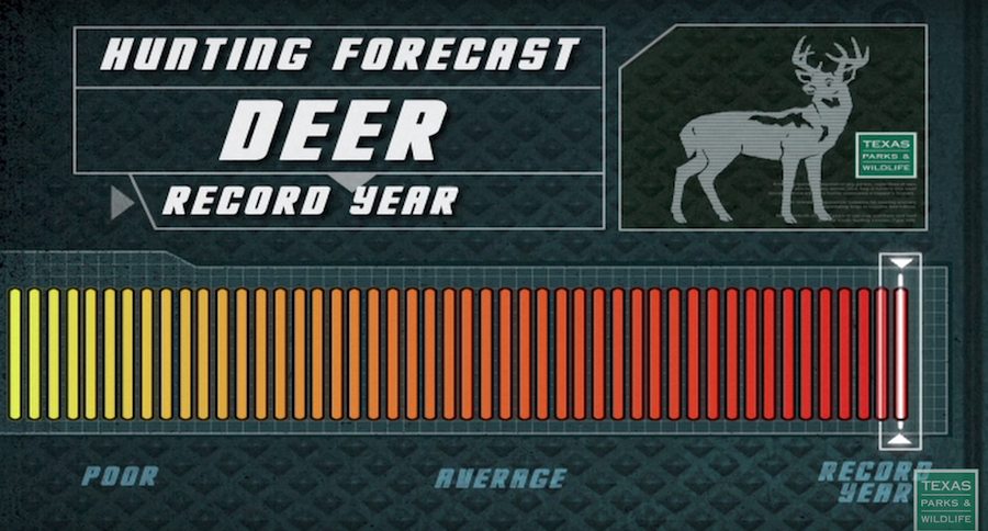 texas deer hunting record year