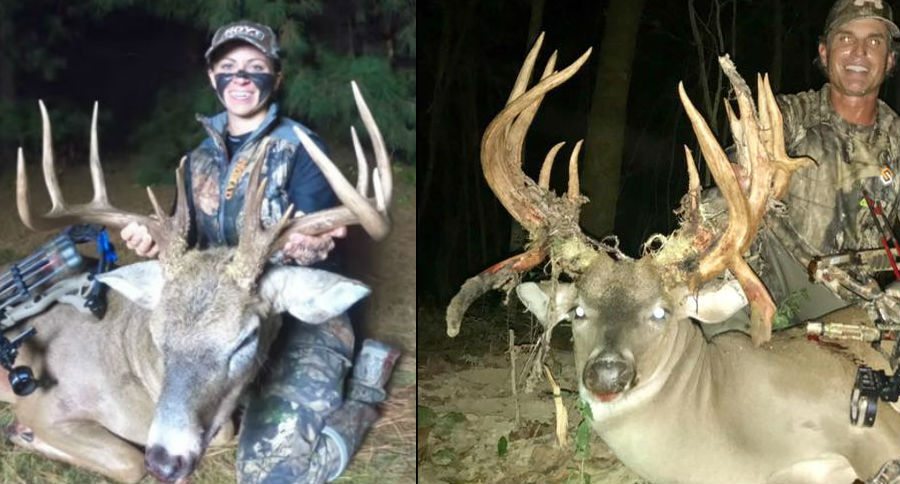 bucks