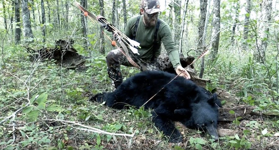 A Public Land Traditional Archery Bear Hunt In Arkansas Is Not For Sissies
