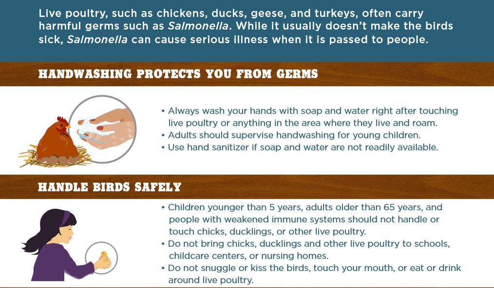 Salmonella Smart