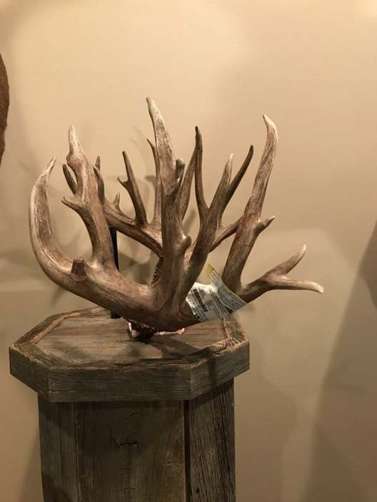 The Story Behind the Largest Buck Shot So Far in 2017 Wide Open Spaces