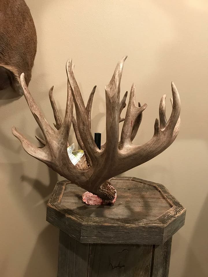 The Story Behind the Largest Buck Shot So Far in 2017 Wide Open Spaces