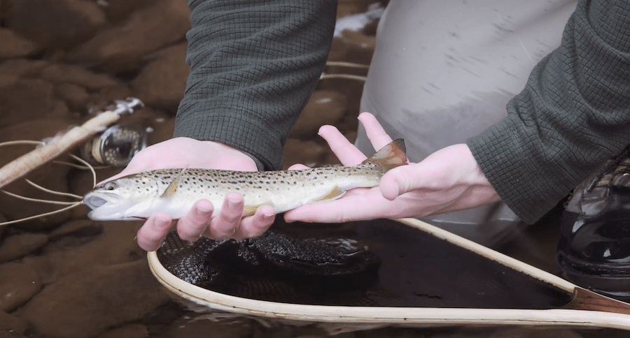 secrets of fly fishing