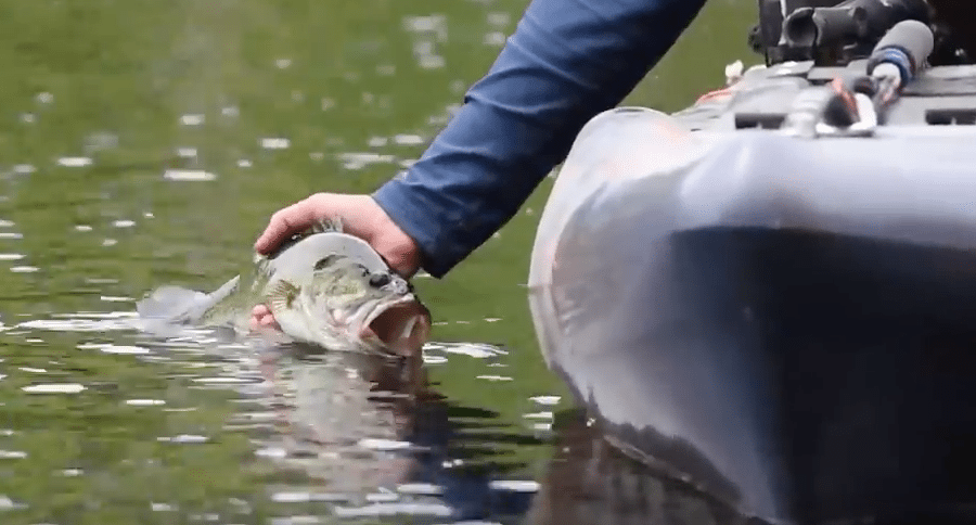 best tippet for bass