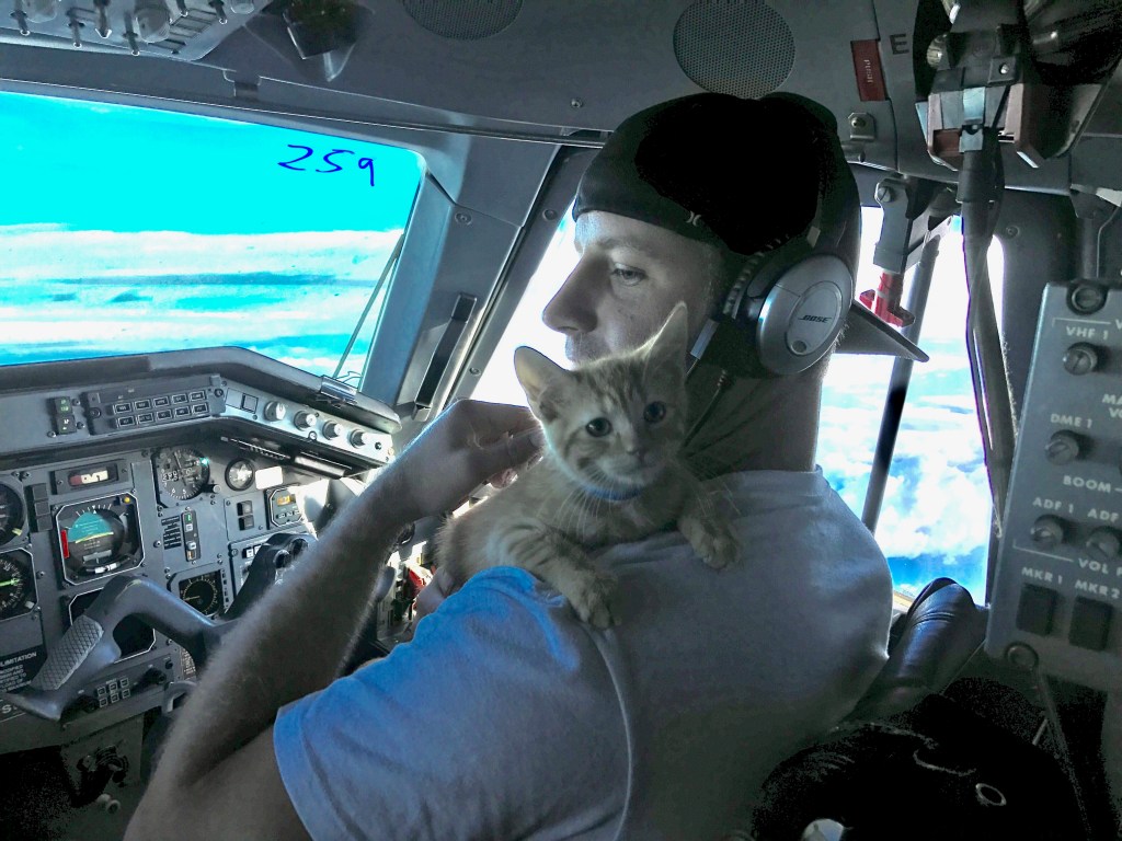 cat in flight