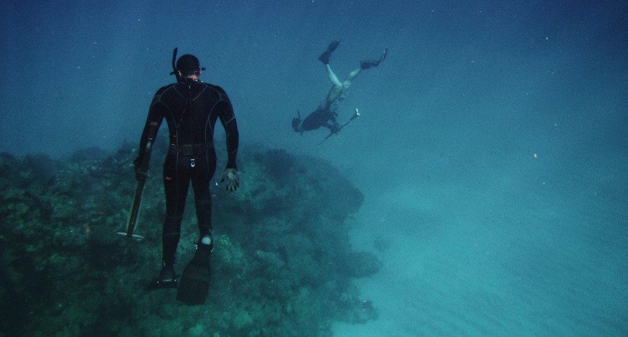 spearfishing freediving
