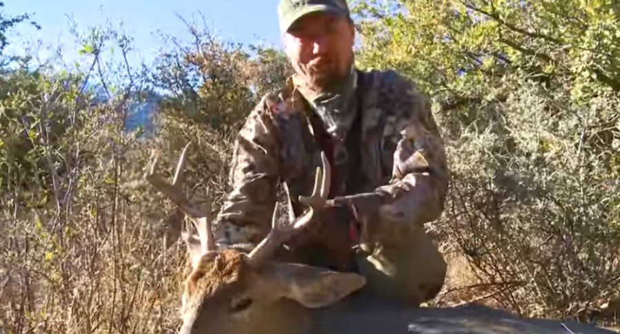 Arizona Coues Whitetail Deer