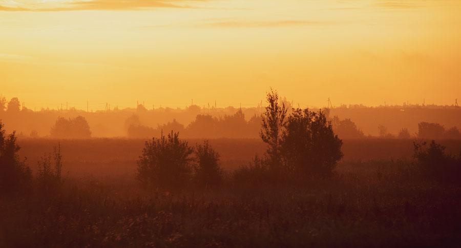 dawn