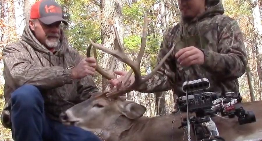 buck