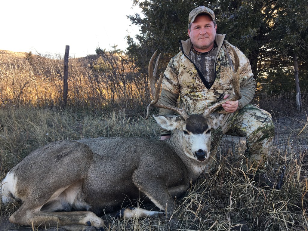 have you ever heard of a mule deer with fangs before large