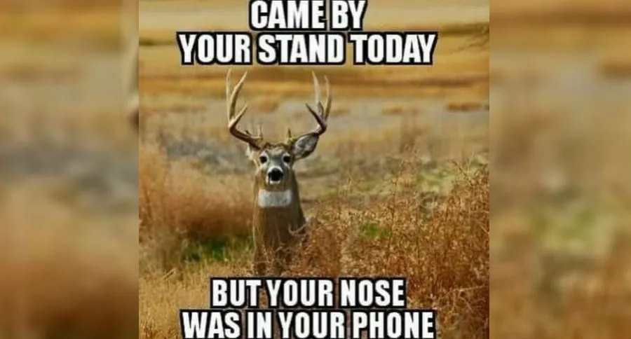 Funny deer video on facebook online