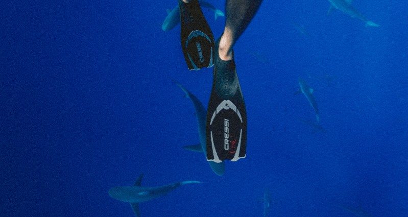 fins diving