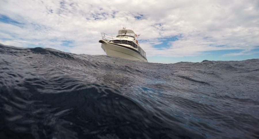 charter deep sea