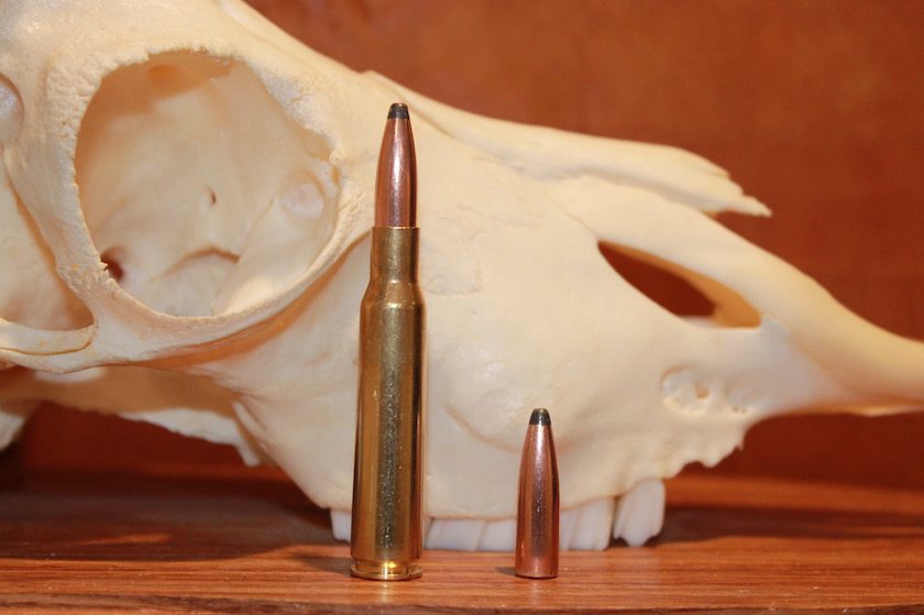 Rifle Cartridges For Hunting