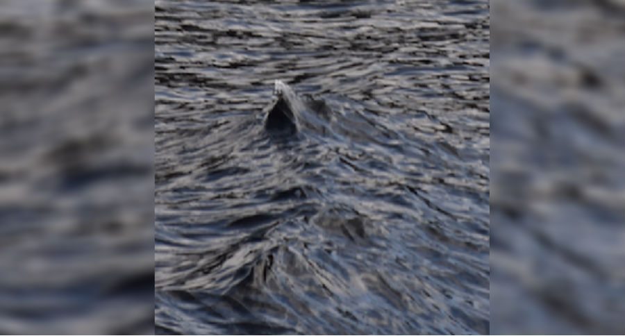 loch ness