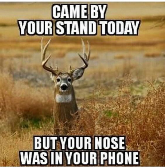 Funny Hunting And Fishing Pictures And Memes