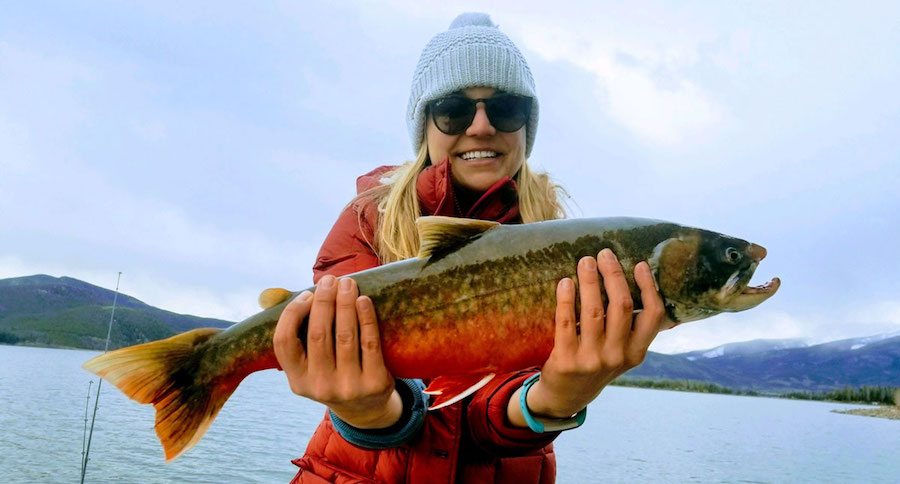 arctic char record