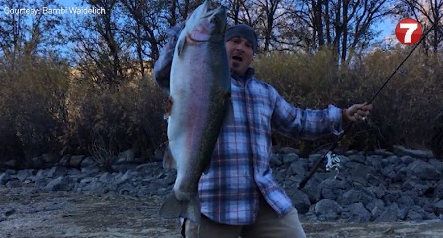 Boise River Trout