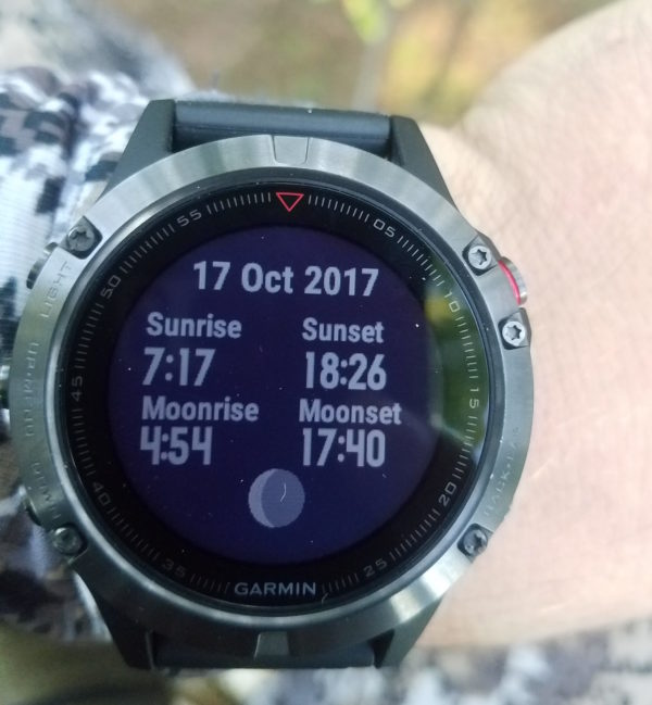 Set alarm sales fenix 5