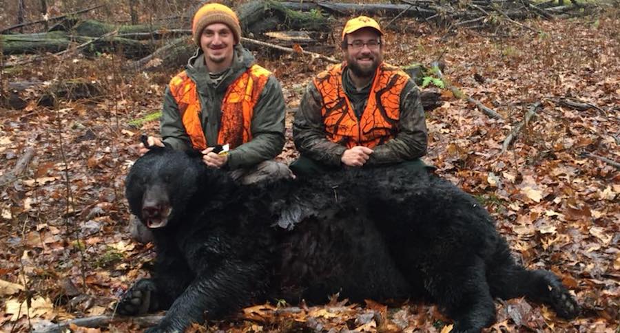 biggest bear