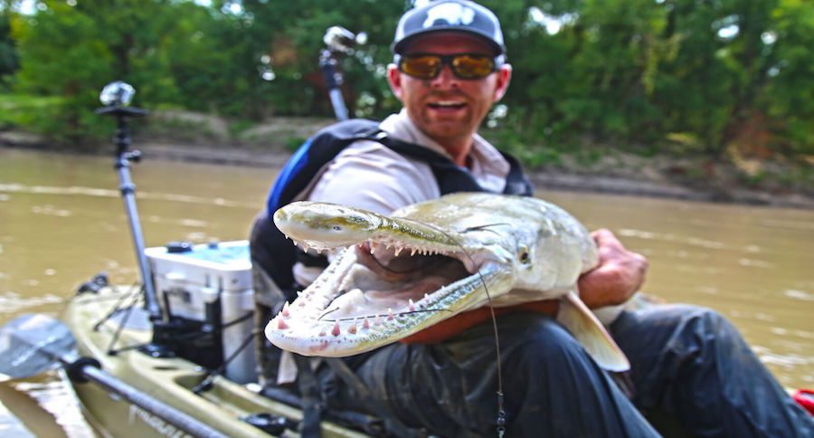 Fishing Ambassador Robert Field Boats a Bucket-List Alligator Gar