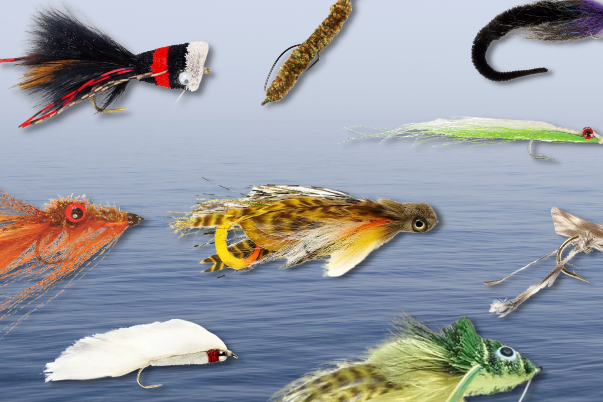 Top Water Bass Pike Assortment Flies Fly Box Fly Fishing, 40% OFF