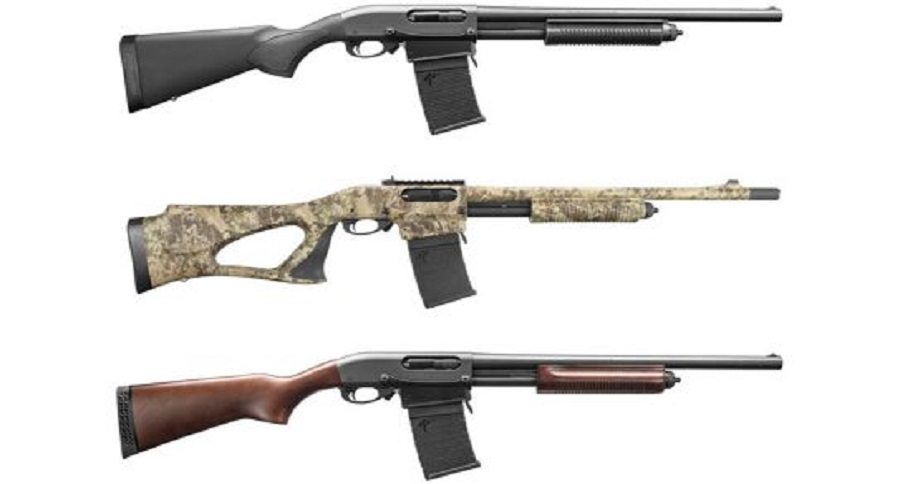 guns to own this year