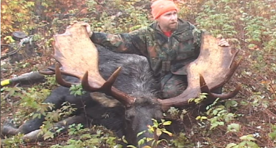 7 moose kills