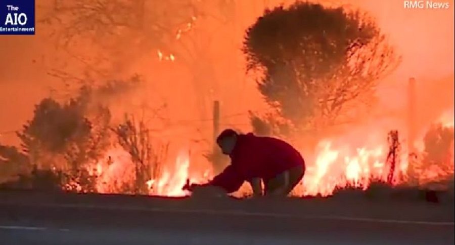 California wildfires