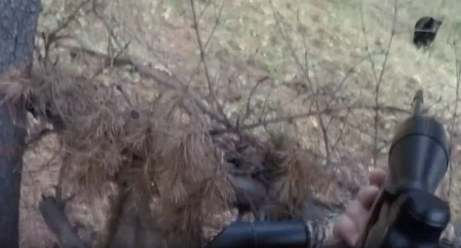 Would You Have Stayed This Calm During A Bear Charge