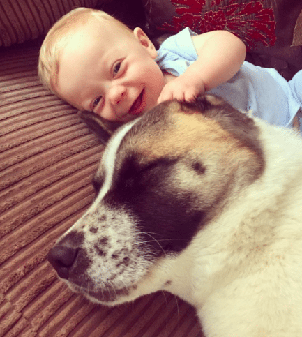 baby and dog