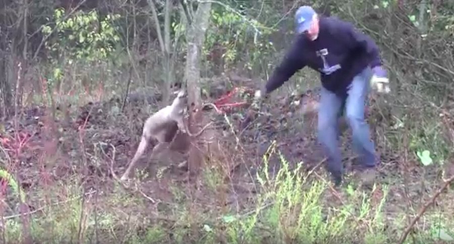 stuck bucks