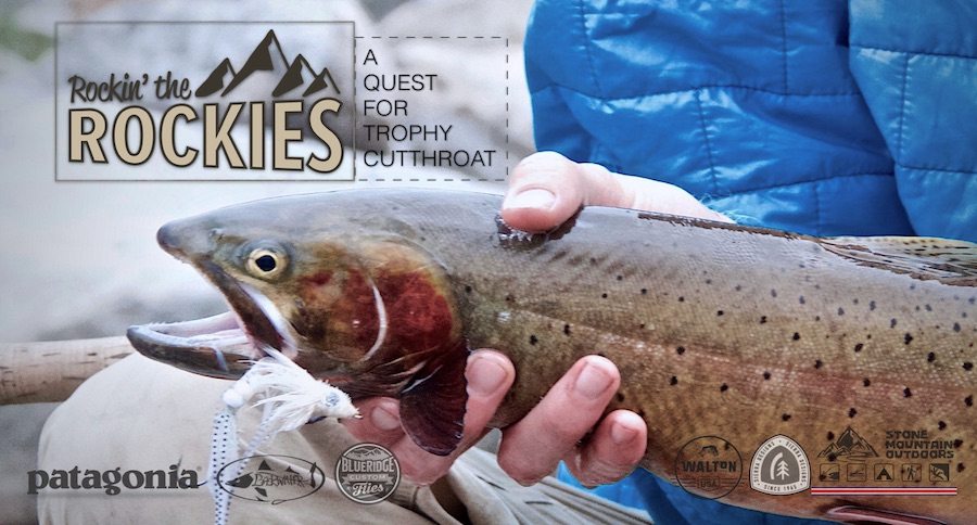 cutthroat trout fishing