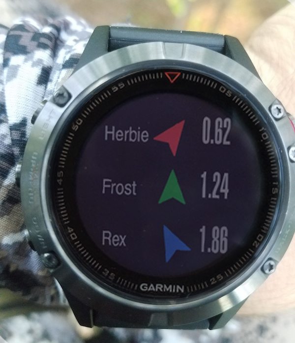 garmin fenix 5