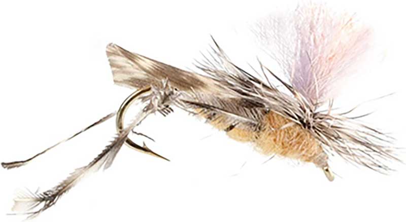 A Parachute Hopper Fly on white background