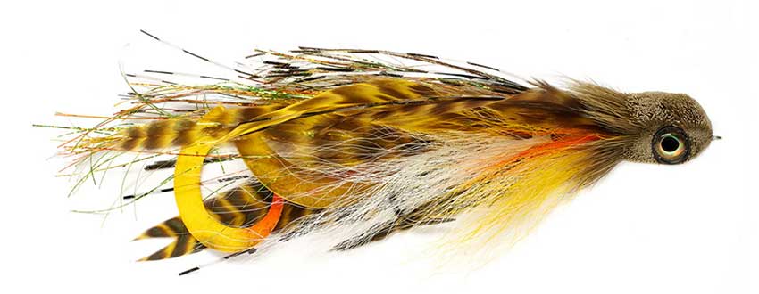 bass flies