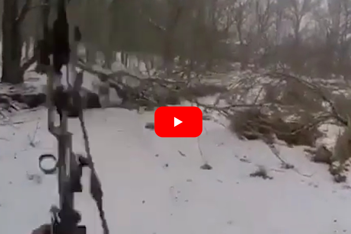 Is Tim Wells' Epic Archery Bumble Bee Shot Lucky or Just Plain Good