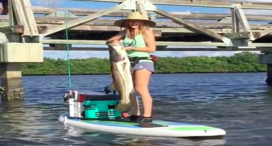 snook