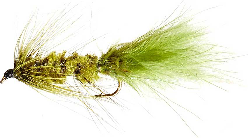 Woolly Bugger fishing fly