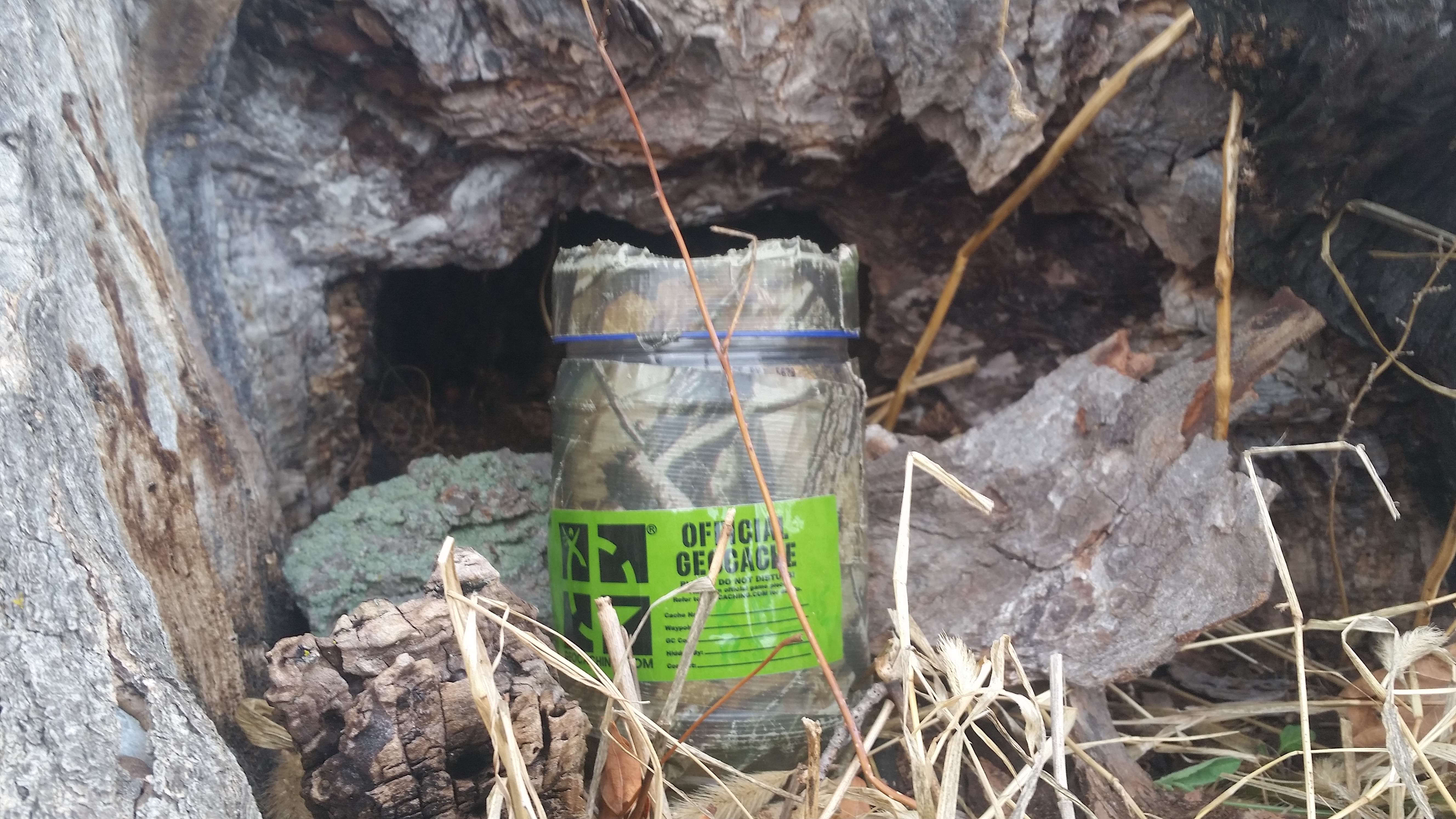 Everything to Know About Geocaching