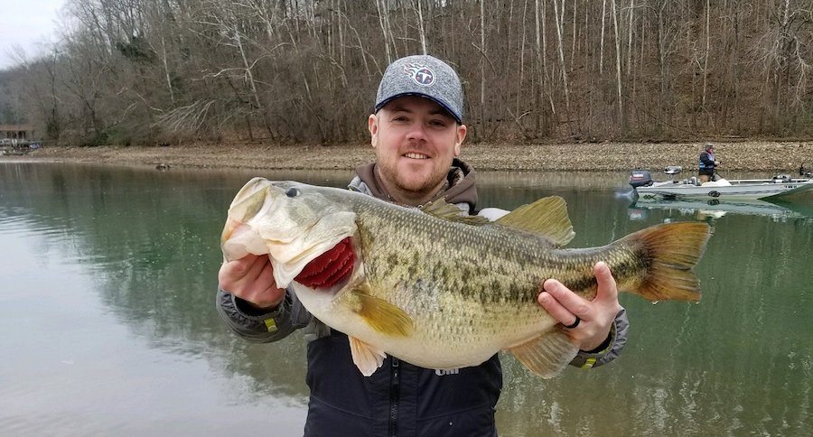 record bass