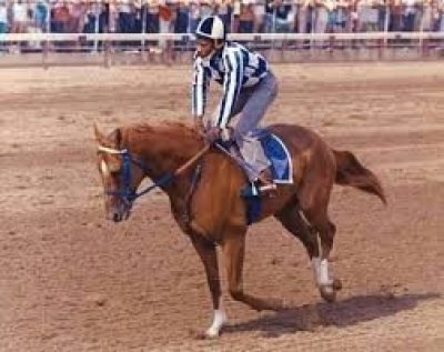 Charlie Davis on Secretariat