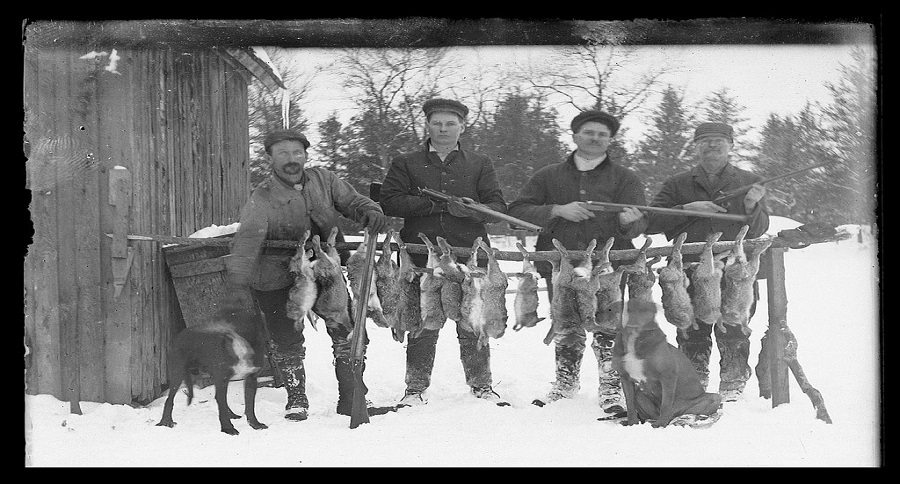 hunt late season rabbits