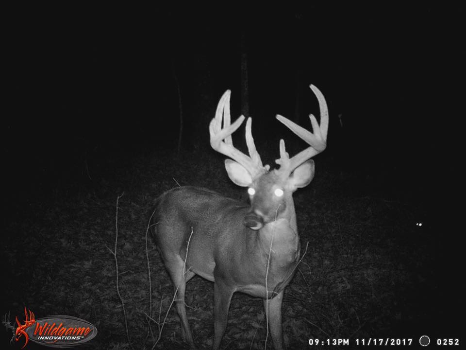 trail cam tuesday